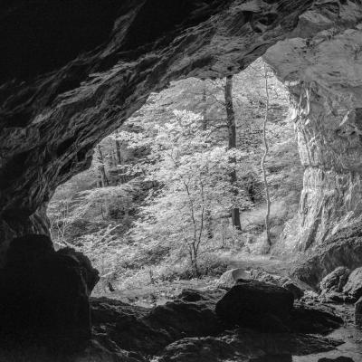 Source De La Bidouze01 Aout 2025r0002392