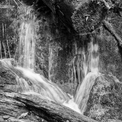 Source De La Bidouze01 Aout 2025r0002405