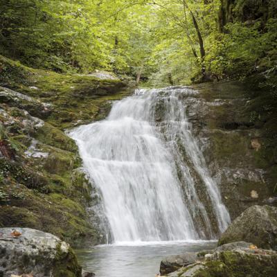 Source De La Bidouze01 Aout 2025r0002409