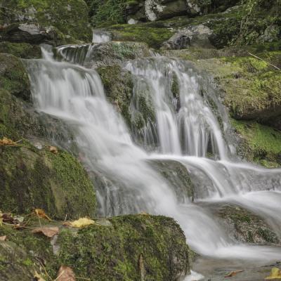 Source De La Bidouze01 Aout 2025r0002415