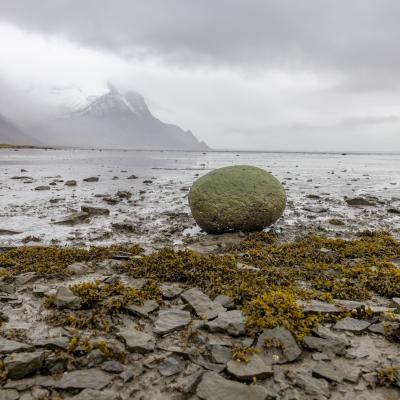 Islande 479