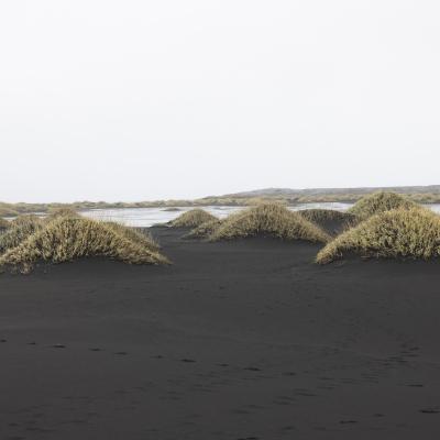 Islande 484
