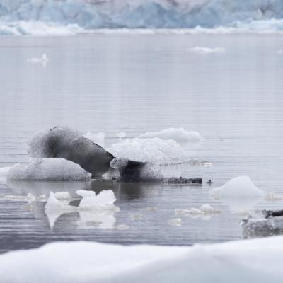 Islande 661