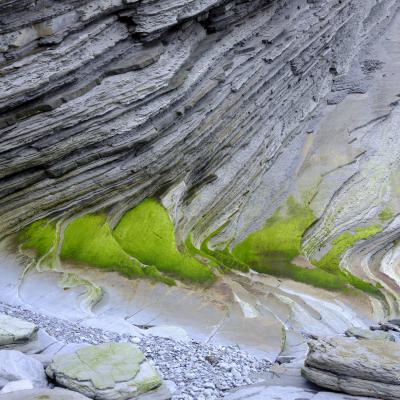 02052022 Zumaia0096