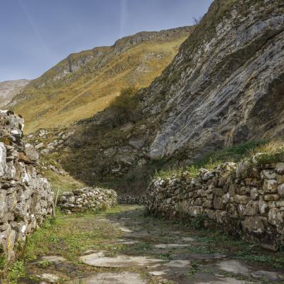 Harpea02 Novembre 20252c8a0040