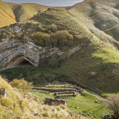 Harpea02 Novembre 20252c8a0055