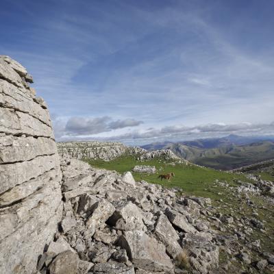 Urkulu02 Novembre 20252c8a0102