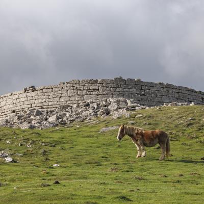 Urkulu02 Novembre 20252c8a0122