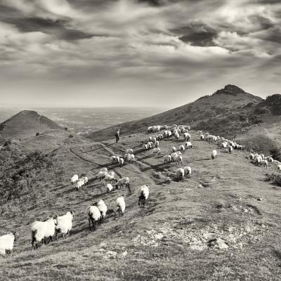  Dsf9385 Modifier Modifier