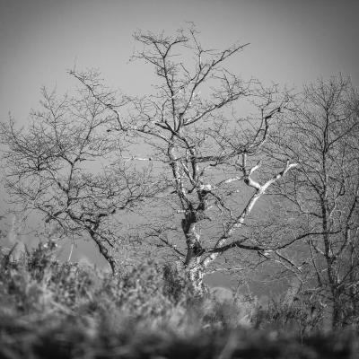  Mg 0632 En Tant Quobjet Dynamique 1