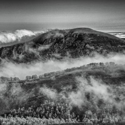  Mg 3546 Modifier Modifier