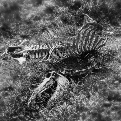  Mg 8025 En Tant Quobjet Dynamique 1