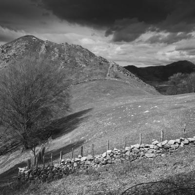  Mg 8265 En Tant Quobjet Dynamique 1