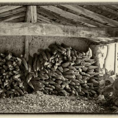 02012022 Garralda0019 Modifier