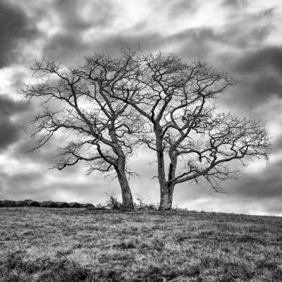 02012022 Garralda0026 Modifier