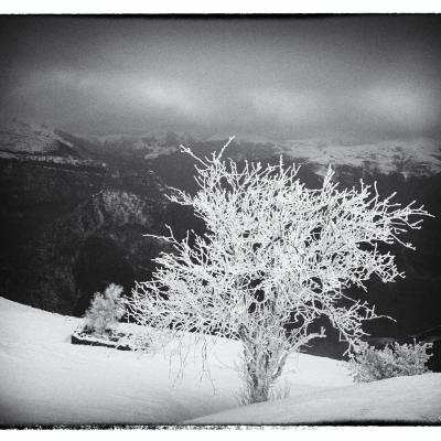 10012021 Iparla0151 Modifier