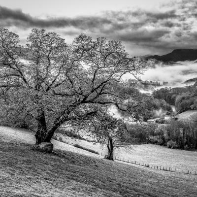 12122021 Ursuya0008 Modifier