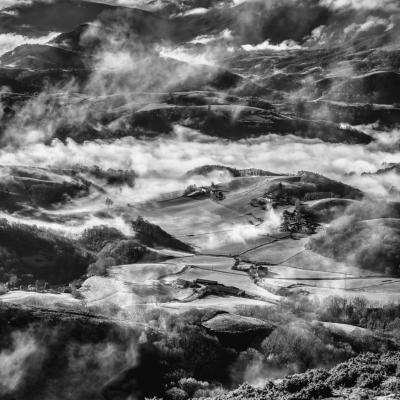 12122021 Ursuya0081 Modifier