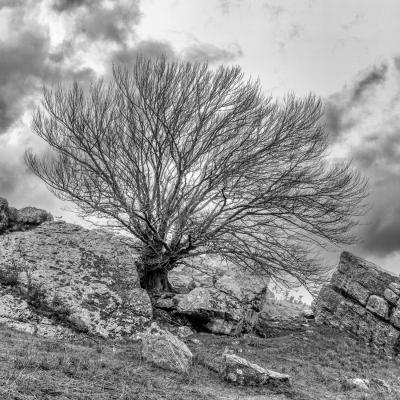 14032021 Mondarrain0025 Modifier 2