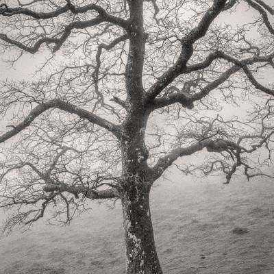 14032021 Mondarrain0038 Modifier