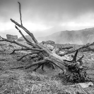 14032021 Mondarrain0062 Modifier