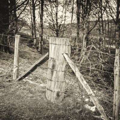 21032021 Iramendy0051 Modifier