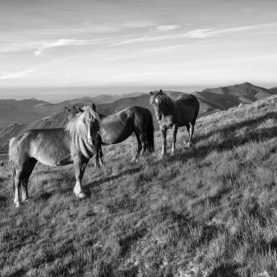 21052020 Randonnees 20200921