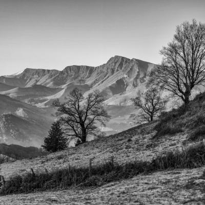 23012022 Baigoura0005 Modifier 2