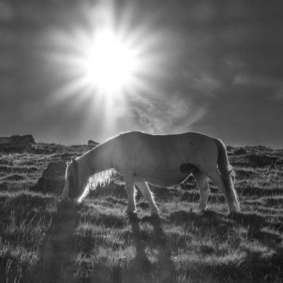 29082021 Baigoura0038 Modifier