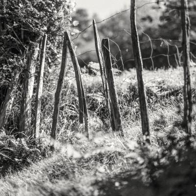 29082021 Baigoura0096 Modifier