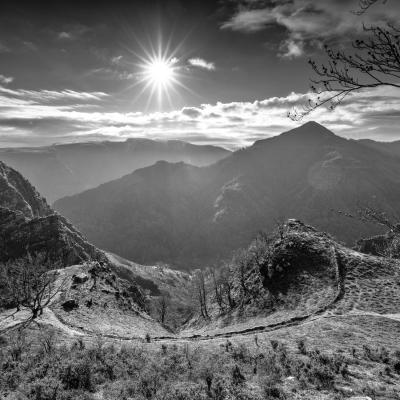 2c8a0034 Modifier Modifier