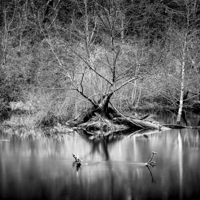 2c8a8793 Modifier Modifier