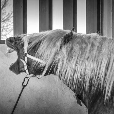 30012022 Ibanimanol0011 Modifier