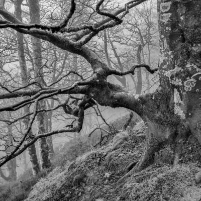 Autza16 Janvier 20252c8a9437