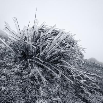 Autza16 Janvier 20252c8a9502