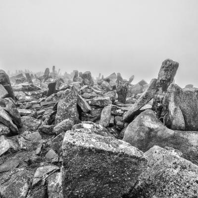 Autza16 Janvier 20252c8a9523