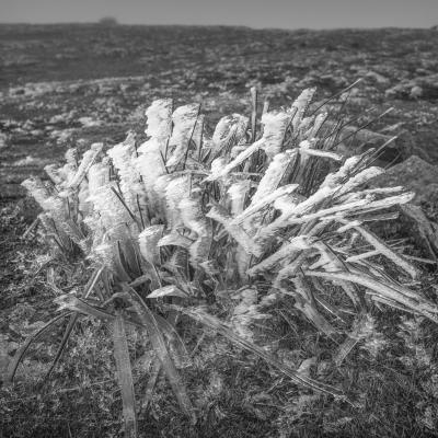 Autza16 Janvier 20252c8a9544