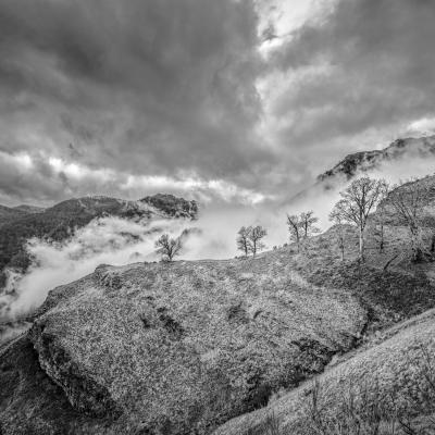 Autza16 Janvier 20252c8a9608