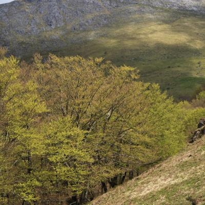  Mg 0015 En Tant Quobjet Dynamique 1