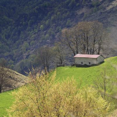  Mg 0035 En Tant Quobjet Dynamique 1