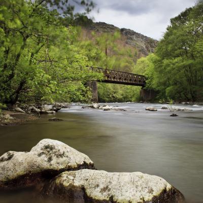  Mg 0168 En Tant Quobjet Dynamique 1