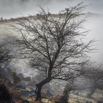  Mg 0580 En Tant Quobjet Dynamique 1