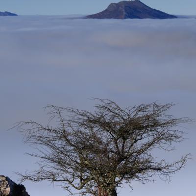  Mg 0612 En Tant Quobjet Dynamique 1