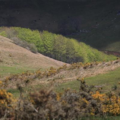  Mg 0771 En Tant Quobjet Dynamique 1