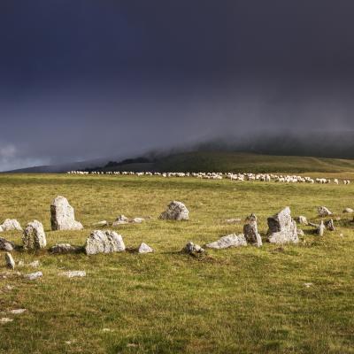  Mg 2545 En Tant Quobjet Dynamique 1