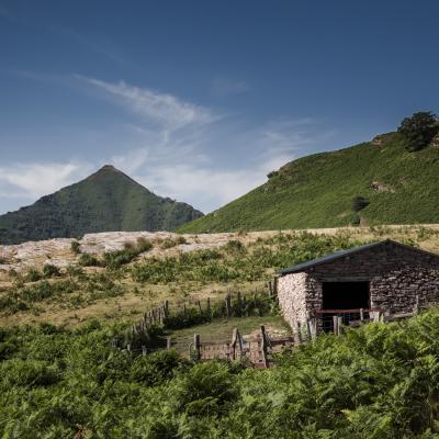  Mg 3069 En Tant Quobjet Dynamique 1