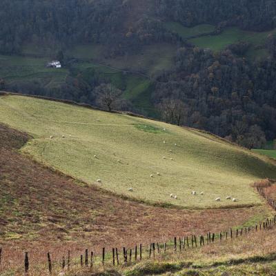  Mg 4280 En Tant Quobjet Dynamique 1