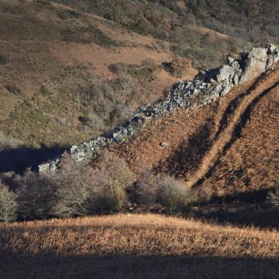  Mg 4619 En Tant Quobjet Dynamique 1