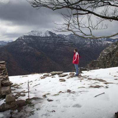  Mg 6045 En Tant Quobjet Dynamique 1