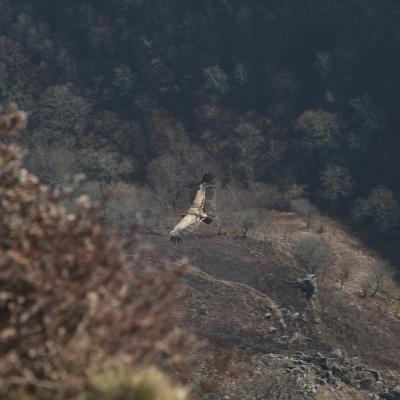  Mg 6497 En Tant Quobjet Dynamique 1